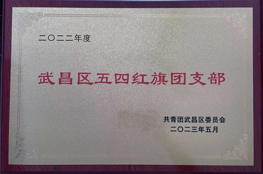 喜報！團武昌區委表彰我校四個先進集體和個人！