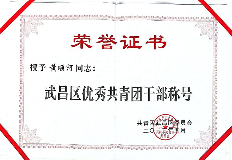 喜報！團武昌區委表彰我校四個先進集體和個人！