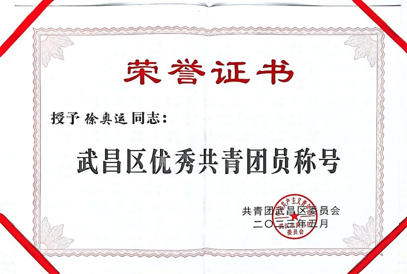 喜報！團武昌區委表彰我校四個先進集體和個人！