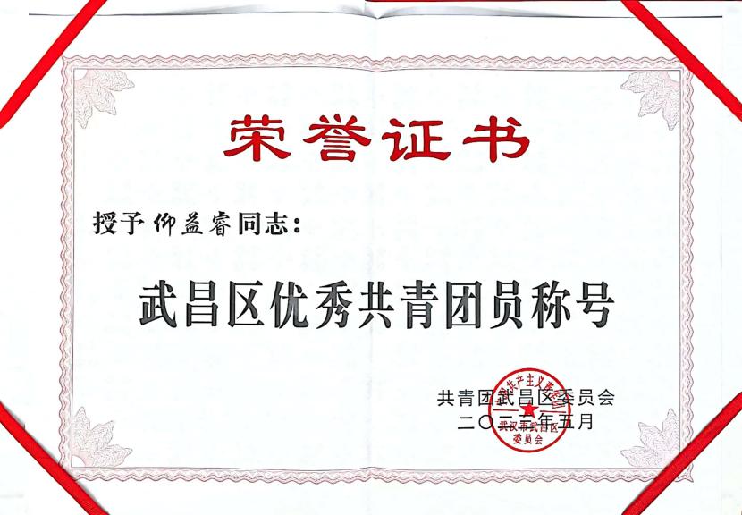 喜報！團武昌區委表彰我校四個先進集體和個人！