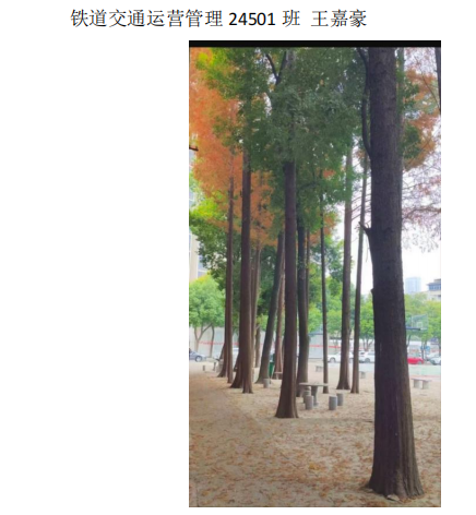 青春光影，定格武科職美好瞬間 ——武漢科技職業學院2026年校園攝影大賽圓滿收官