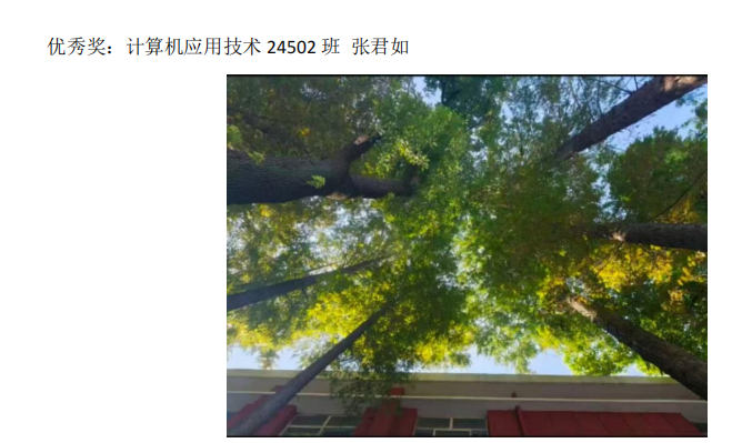 青春光影，定格武科職美好瞬間 ——武漢科技職業學院2026年校園攝影大賽圓滿收官