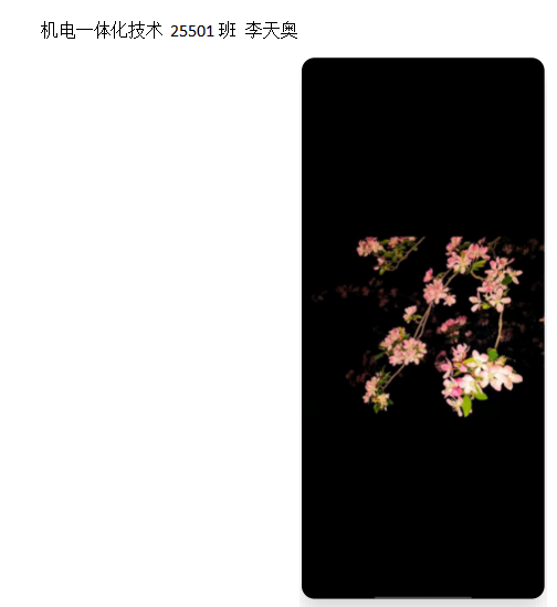 青春光影，定格武科職美好瞬間 ——武漢科技職業學院2026年校園攝影大賽圓滿收官