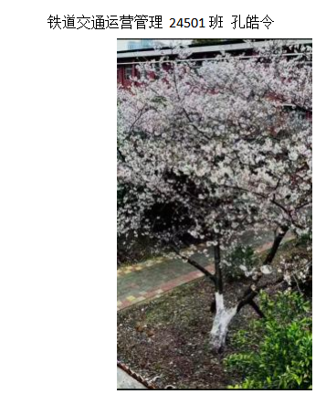 青春光影，定格武科職美好瞬間 ——武漢科技職業學院2026年校園攝影大賽圓滿收官