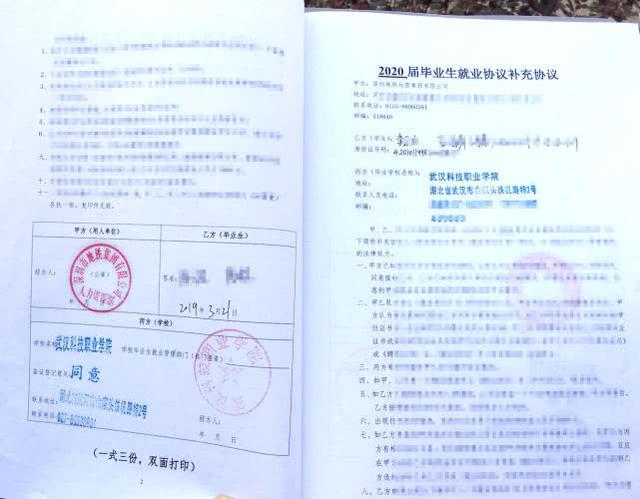 （轉載）2019高考填報這個志愿 不再為工作擔憂