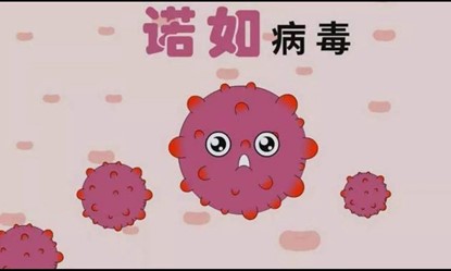 get諾如病毒相關知識 get諾如病毒相關知識