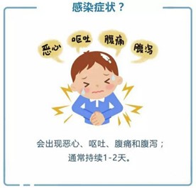 get諾如病毒相關知識 get諾如病毒相關知識