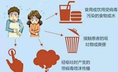 get諾如病毒相關知識 get諾如病毒相關知識