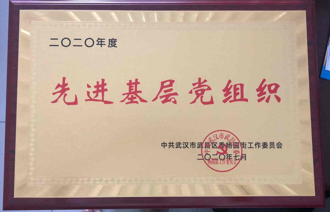 我院黨委榮獲2020年度先進基層黨組織