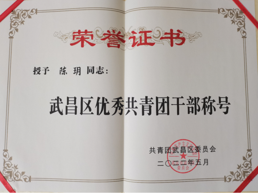 喜報！我校團委工作榮獲武漢市和武昌區五四表彰多項榮譽